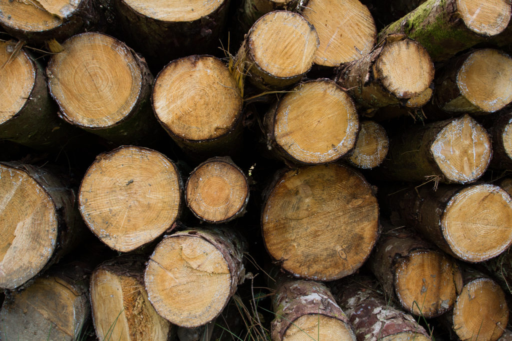 trees, lumber, FSC, forestry, paper, logs, FSC Certified Packaging